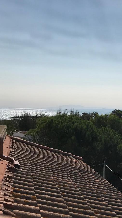 Vias Plage : résidence sécurisée bord de mer Esterno foto